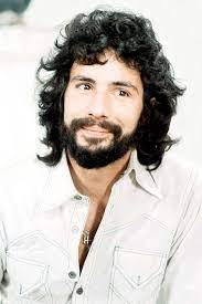 Cat Stevens