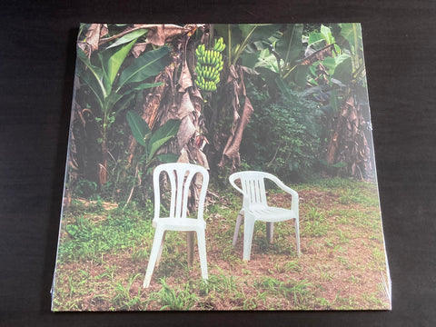 Bad Bunny - Debí Tirar Más Fotos 2LP 33⅓rpm VINYL