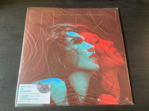 Penny Tai / 戴佩妮 - 賊 LP 33⅓rpm (B-Stock) VINYL
