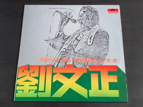 Steven Liu Wen Zheng / 劉文正 - 閃亮的日子 LP VINYL