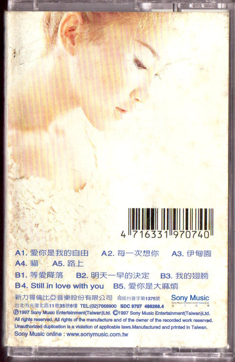 Coco Lee / 李玟 - 每一次想你 (卡帶/Cassette)