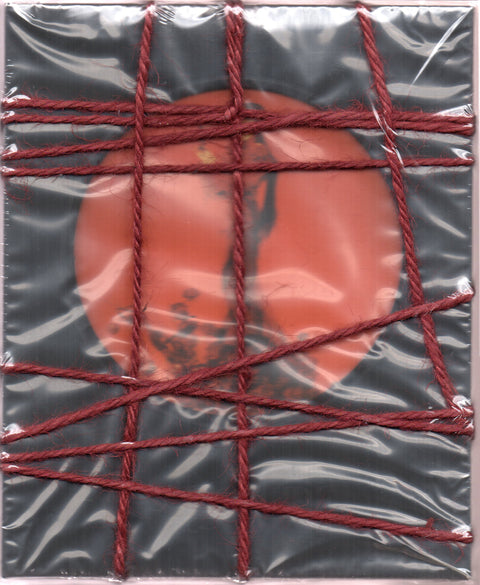 Jolin Tsai / 蔡依林 -《Pleasure》七罪花園版 CD