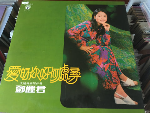 Teresa Teng / 鄧麗君 - 第一次見到你 Vinyl LP