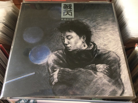 Julie Su Rui / 蘇芮 - 親愛的小孩 Vinyl LP