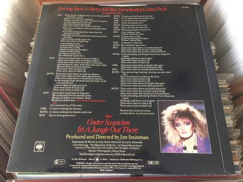 Bonnie Tyler - Loving You's A Dirty Job But Somebody's Gotta Do It 12" Single Vinyl