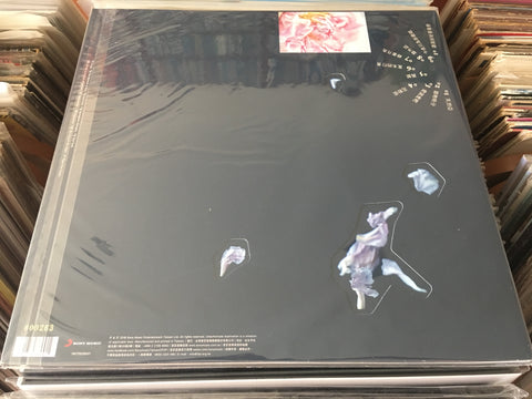 Valen Hsu / 許茹芸 - 綻放的綻放的綻放 Vinyl LP
