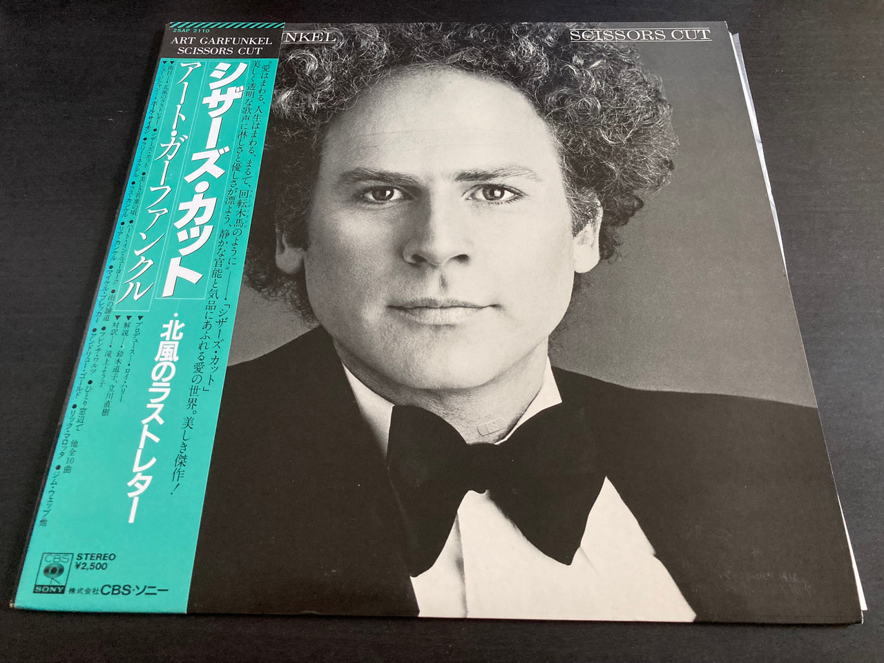 Art Garfunkel Scissors Cut LP NEONMUSIC