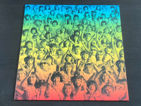 [Pre-owned] Ayumi Hamasaki / 浜崎 あゆみ - Audience 12inch Single VINYL