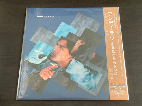 Andy Lau / 劉德華 - 可不可以 LP VINYL