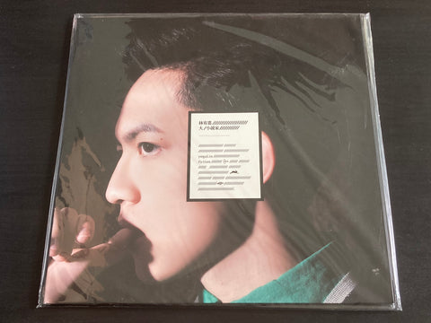 Yoga Lin / 林宥嘉 - 大小說家 LP VINYL