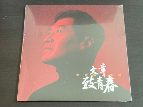 Wen Zhang / 文章 - 致青春 CD