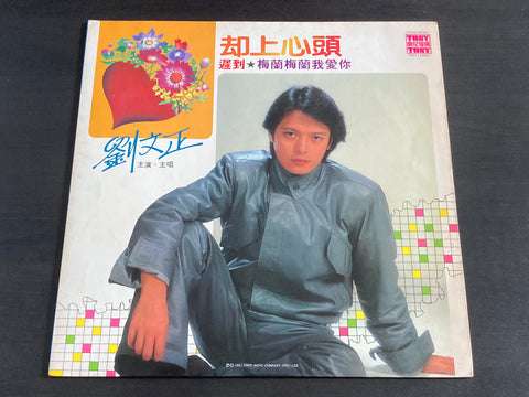 Steven Liu Wen Zheng / 劉文正 - 卻上心頭 LP VINYL