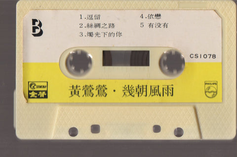 [Pre-owned] Tracy Huang Ying Ying / 黃鶯鶯 - 幾朝風雨 (卡帶/Cassette)