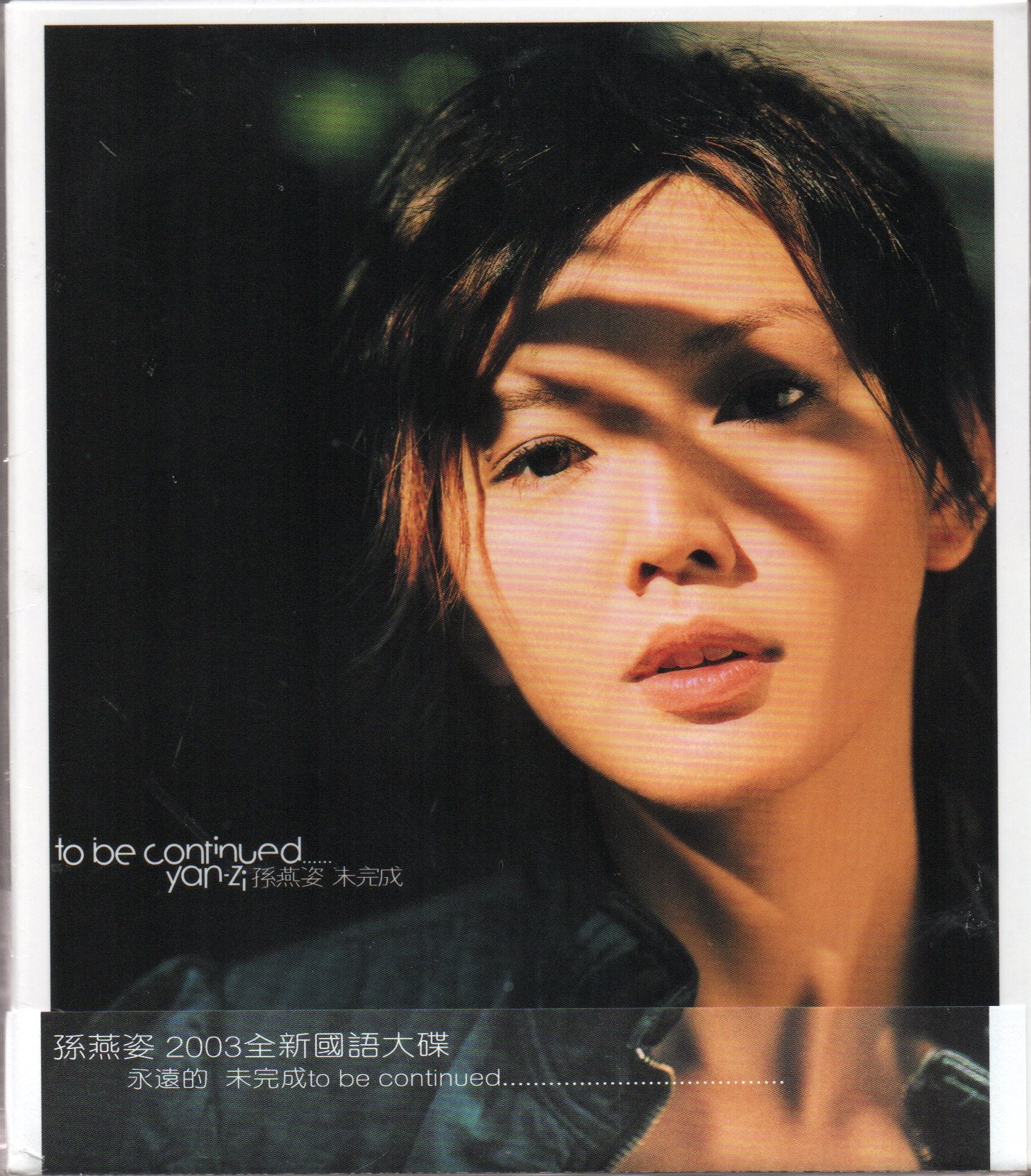 【未開封】DVD『2004 年軽無極限 演唱会』孫燕姿 Yanzi img3486.jpg?v=1745937114