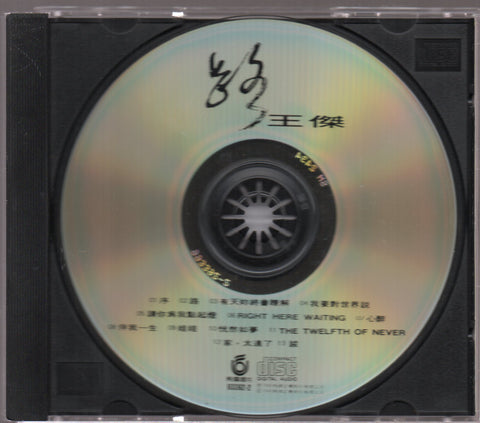 Dave Wang Jie / 王傑 - 路 CD