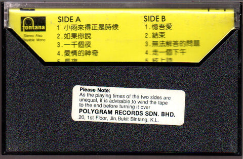 [Pre-owned] Zheng Yi / 鄭怡 - 小雨來得正是時候 (卡帶/Cassette)