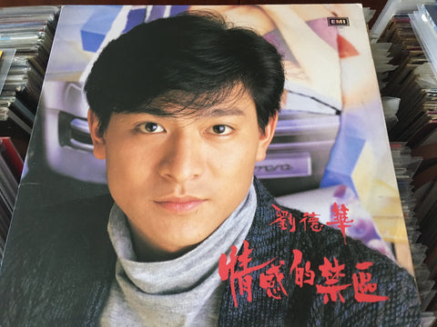 Andy Lau / 劉德華 - 情感的禁區 Vinyl LP