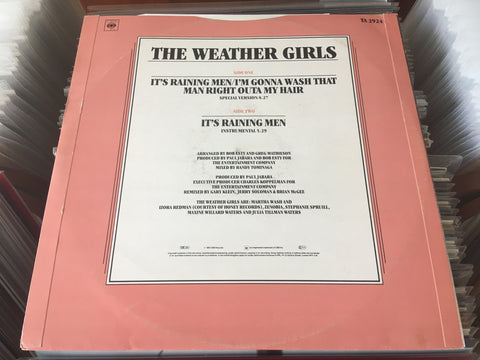 The Weather Girls - It's Raining Men Vinyl