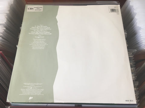 Gloria Estefan - Oye Mi Canto (Hear My Voice) 12" Vinyl