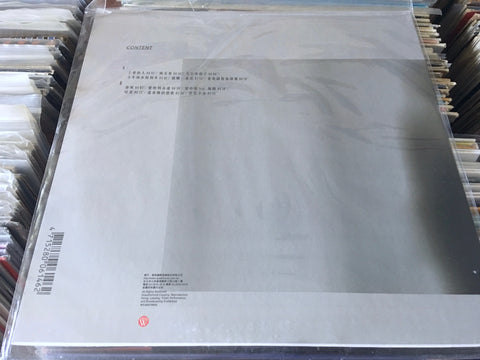 Hong Rong Hong / 洪榮宏 - 上愛的人 上愛的歌典藏精選 Vinyl LP