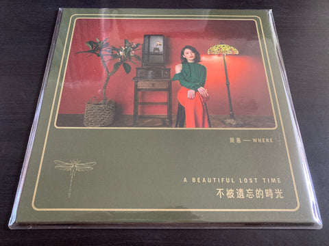 Zhou Hui / 周蕙 - 不被遺忘的時光 LP VINYL
