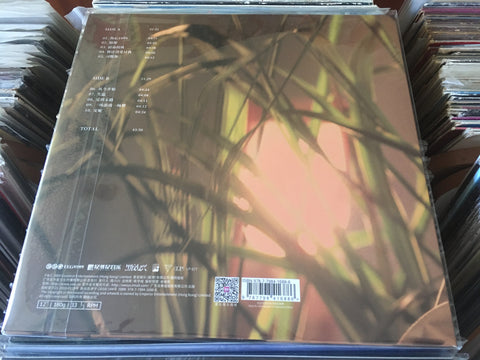Dave Wang Jie / 王傑 - 從今開始 Hello World Vinyl LP