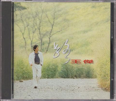 Dave Wang Jie / 王傑 - 路 CD